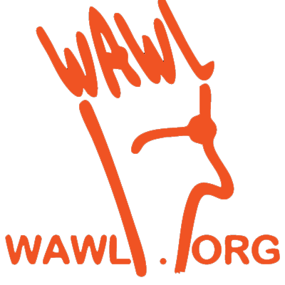 the WAWL Radio @Chatt State